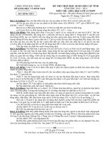 Đề thi chọn học sinh giỏi cấp tỉnh năm học 2012-2013 môn hóa học – lớp 12 - THPT