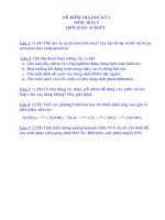 De thi hoc ki 1 mon hoa 9