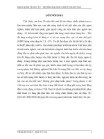 thực trạng thất thoát và lãng phí trong hoạt động đầu tư xây dựng cơ bản ở Việt Nam