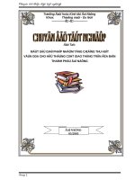 MỘT số GIẢI PHÁP NHẰM TĂNG CƯỜNG THU hút vốn ODA vào hệ THỐNG CSHT GIAO THÔNG TRÊN địa bàn THÀNH PHỐ đà NẴNG 