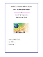 GIẢI BÀI TẬP THỰC HÀNH MÔN KINH TẾ LƯỢNG