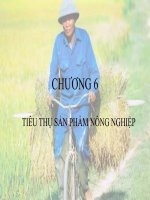 Bài giảng KINH TẾ NÔNG NGHIỆP - Chương 6