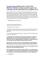 Bài thuốc từ cây đậu xanh lòng