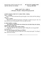 Đề tham khảo ôn thi TN12 Ngữ văn (6)