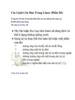 Các lệnh căn bản trong linux (phần III) 
