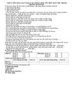 Hướng dẫn báo cáo Tổ chức bán trú Mầm non