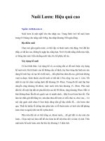 Nuôi lươn hiệu quả cao 