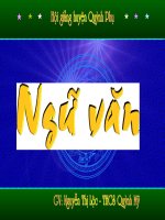 Chiec la cuoi cung - thao giang GVGT 08-09