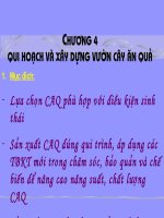 Quy hoạch và thiết kế vườn cây ăn quả