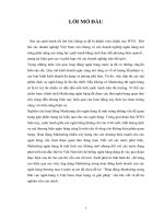 ’Hoạt động Marketing trong lĩnh vực ngân hàng ở Việt Nam, thực trạng và giải pháp’’ 