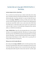 Sự khác biệt của 2 công nghệ AMOLED pentile và real stripe 