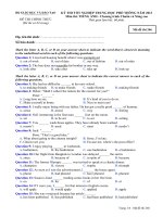 KỲ THI TỐT NGHIỆP TRUNG HỌC PHỔ THÔNG NĂM 2013 Môn TIẾNG ANH