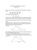đề thi học sinh giỏi lớp 5(lần 2)