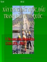 AŨAY DUNG,BAO VE TO QUOC (1976-1985)