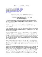 Bản tóm tắt cơ bản về cam kết WTO của việt nam 