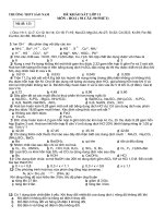 DE KHAO SAT LOP CHON 11