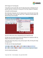 seo onpage với tool seoquake