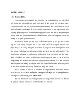 Mâu thuẫn biện chứng và biểu hiện của nó trong nền kinh tế hàng hoá nhiều thành phần ở Việt Nam