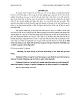 Kế toán bán hàng và xác định kết quả bán hàng tại Công ty Cổ phần Thương mại và Dịch vụ quốc tế Gia Nguyễn