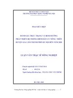 Đánh giá thực trạng và định hướng phát triển hệ thống điểm dân cư nông thôn huyện gia lâm thành phố hà nội đến năm 2020 