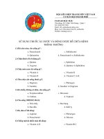 Câu hỏi sơ cứu 1