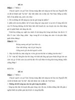 ĐỀ 14( Hướng dẫn tự ôn tập NV 9 )