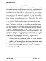 Tổ chức công tác kế toán tập hợp chi phí sản xuất và tính giá thành sản phẩm ở công ty TNHH Cao su Giải Phóng