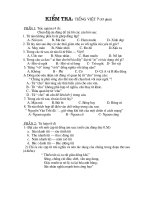 Đề kiẻm tra Tiếng Việt 45''''