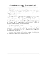 Dạy một tiết ôn tập Vật Lí 8