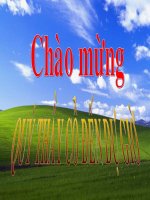 TIA PHÂN GIÁC CỦA GÓC