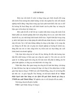 Hoàn thiện hạch toán bán hàng và xác định kết quả kinh doanh tại công ty TNHH sản xuất Thành Đồng