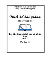 Chwơng trình con và phân loại