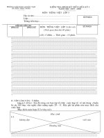 Đề thi lần I Môn Tiếng Việt Khối 2,3