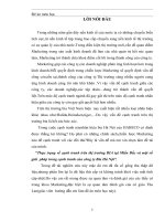 Thực trạng về cạnh tranh trên thị trường BIA tại Miền Bắc và một số giải  pháp trong cạnh tranh của công ty Bia Hà Nội