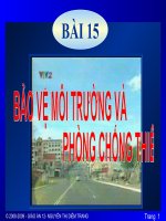 Bao vệ môi trương phong chống thiên tai
