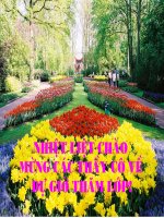 Bài 14: Ếch ngồi đáy giếng