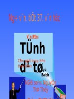 ong noi di chan trâu