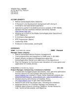 Mẫu CV cho các vị trí từ phó phòng trở lên 