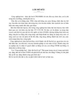 Thực trạng nước ta và nội dung cơ bản của quá trình CNH-HĐH