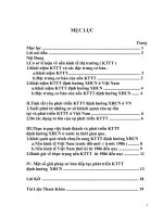 Thực trạng việc hình thành và phát triển KTTT định hướng XHCN ở nước ta thời gian qua 