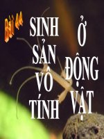 Giáo án thi GVDG vòng 2