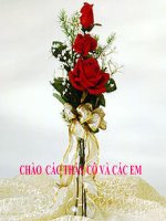 Bài tế bào nhân thực