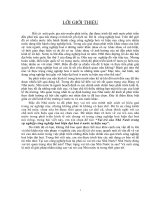 Vai trò của Nhà Nước trong sự nghiệp công nghiệp hoá hiện đại hoá ở nước ta hiện nay