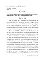 Hoạt động hỗ trợ bán hàng nhằm tăng khả năng tiêu thụ sản phẩm của công ty TNHH đầu tư và thương mại Tân Việt Mỹ