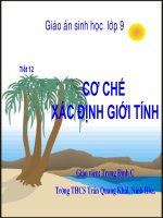 Tiết 12: CƠ CHẾ XÁC ĐỊNH GIỚI TÍNH