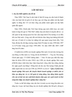 Quy trình kiểm toán doanh thu và khoản mục phải thu khách hàng trong kiểm toán BCTC do Công ty TNHH Tài chính và Kiểm toán Việt Nam thực hiện