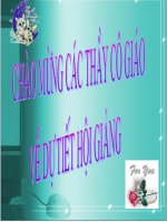 Tiết 46: Đồng chí