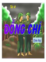 Dong chi