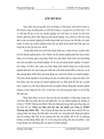 Nâng cao hiệu quả tiêu thụ sản phẩm của Công ty TNHH Thương mại Minh Tiến 