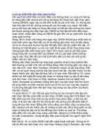 Lược sử phát triển dàn nhạc giao hưởng